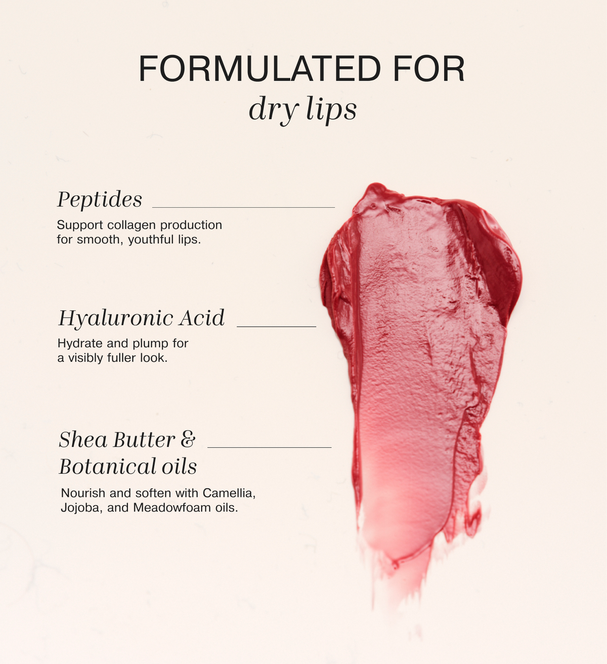 Infografía de ingredientes del Mini Lip Tint Trio que destaca los péptidos, el ácido hialurónico, la manteca de karité y los aceites botánicos.